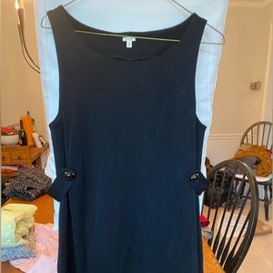 Jcrew jumper dress